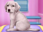 Köpek Doktoru